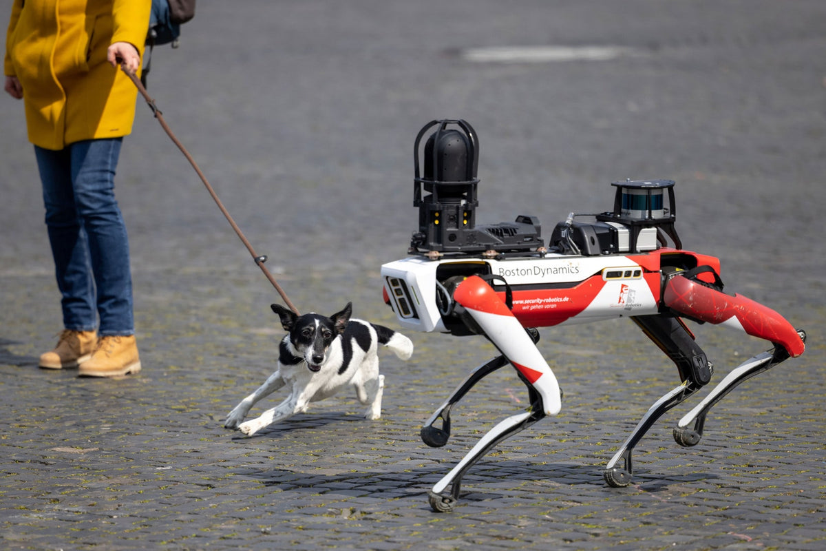 Exactly How Much Do You Trust AI