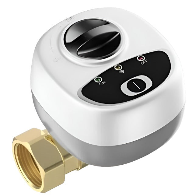 eWelink Smart WiFi Water Valve Shutoff For DN25