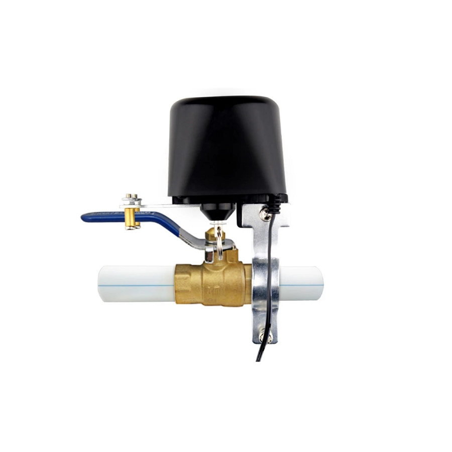 WiFi electronic control water Valve Ewelink