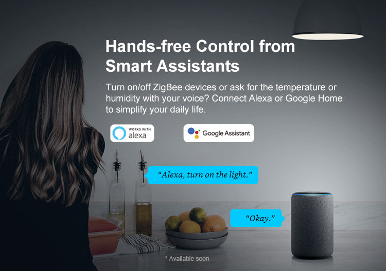 Sonoff Wifi/Zigbee bridge Refurbished